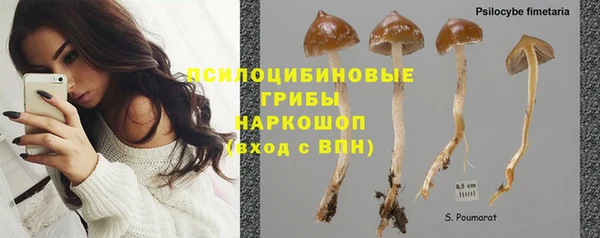 mdpv Карталы