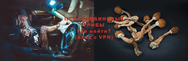 дживик Каменка