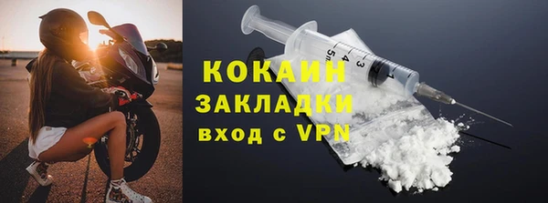 дживик Каменка