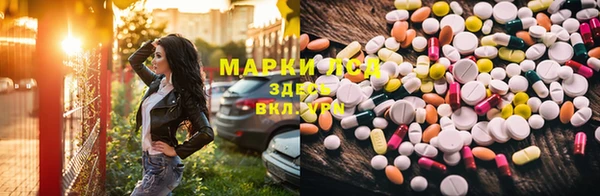 дживик Каменка