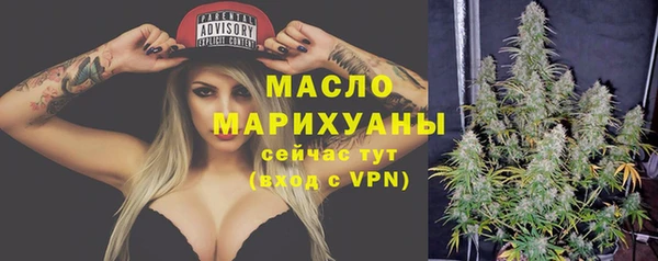 дживик Каменка