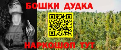 сатива Камышлов