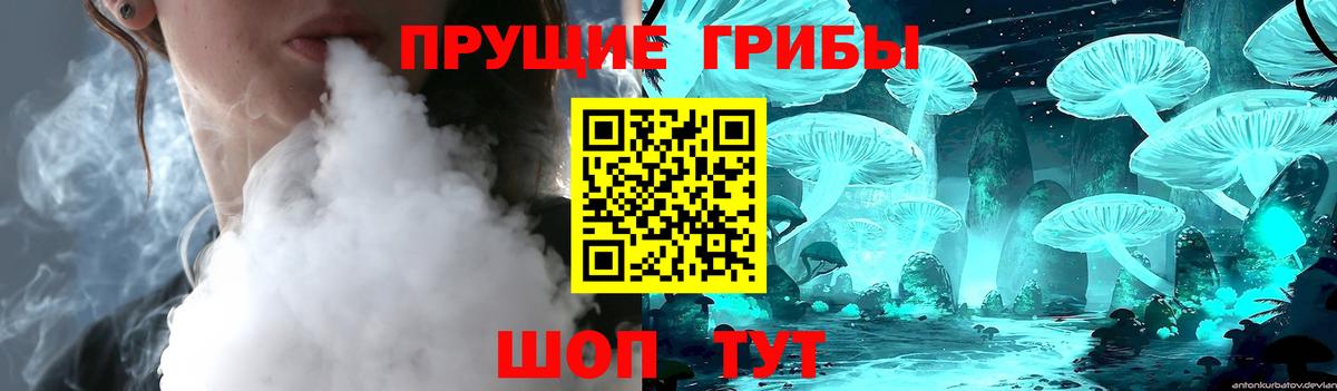 Псилоцибиновые грибы GOLDEN TEACHER Кубинка